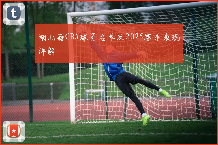湖北籍CBA球员名单及2025赛季表现详解