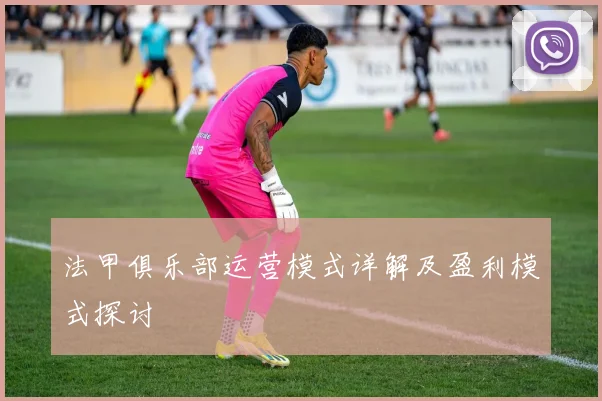 法甲俱乐部运营模式详解及盈利模式探讨