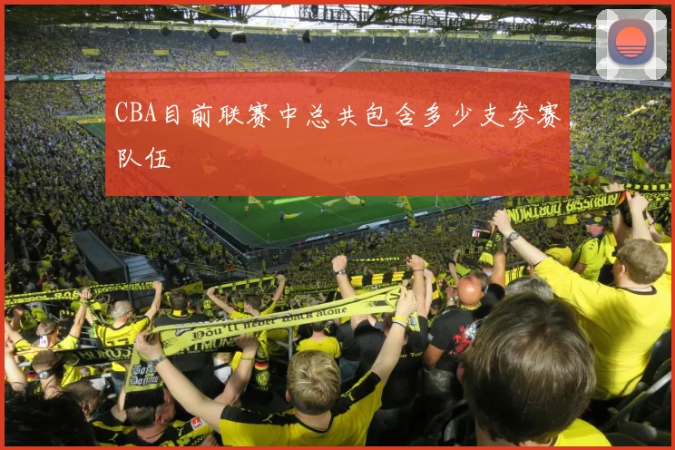 CBA目前联赛中总共包含多少支参赛队伍