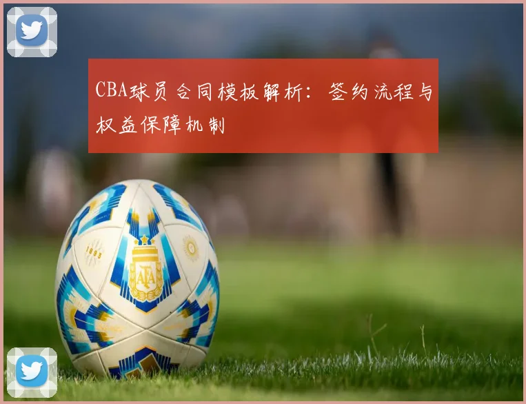 CBA球员合同模板解析：签约流程与权益保障机制