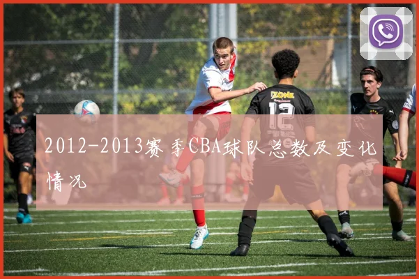 2012-2013赛季CBA球队总数及变化情况