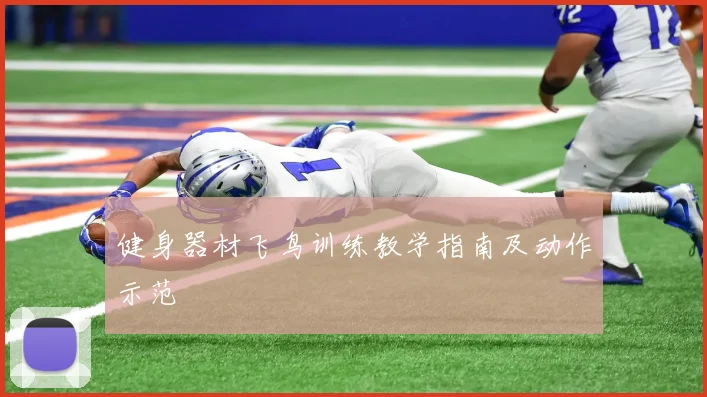 健身器材飞鸟训练教学指南及动作示范