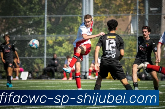 世界杯直播品牌故事