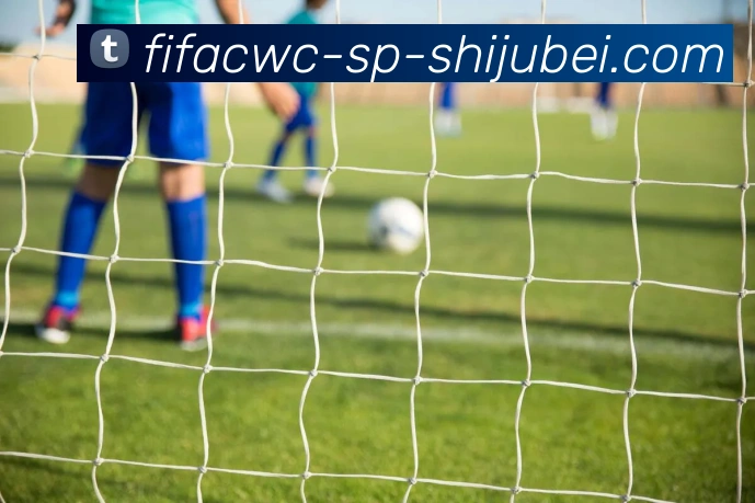 世界杯直播服务体系